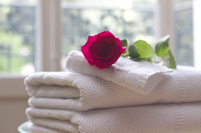 chambre-hote-ARTIGUES-min_towel_rose_clean_care_salon_spa_white_bath-731641